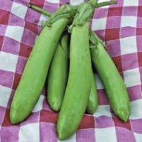 Aubergine Thai long green