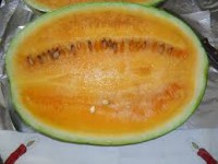 Pastèque Orangeglo