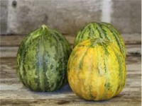 Melon Escondido