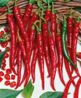 piment de Cayenne