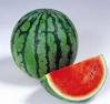 pastèque Crimson