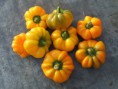 poivron mandarine