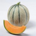 melon Cyrano