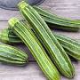 courgette Romanesco