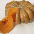 courge musquée de provence